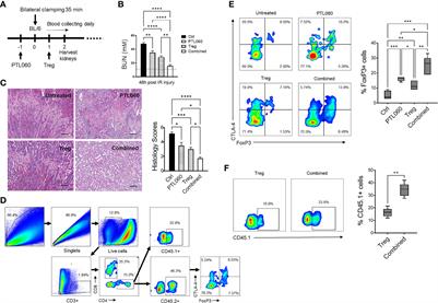 Inhibition of thrombin on endothelium enhances recruitment of regulatory T cells during IRI and when combined with adoptive Treg transfer, significantly protects against acute tissue injury and prolongs allograft survival